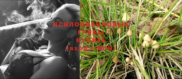 СК Заводоуковск