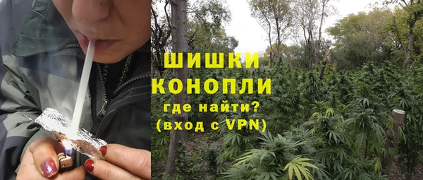 СК Заводоуковск