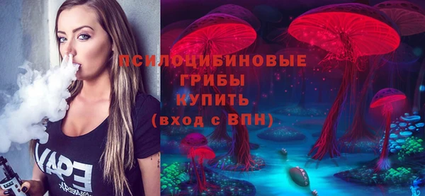 ECSTASY Заволжье